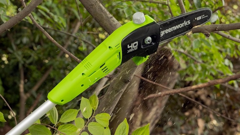 The Greenworks 40V cordless pole saw