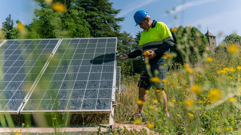 A man inspecting a solar panel in a field with blooming flowers