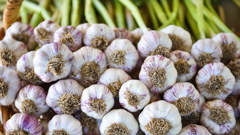 Multiple whole garlic bulbs in a tidy pile