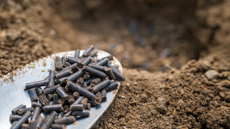 Organic fertilizer being added to the soil