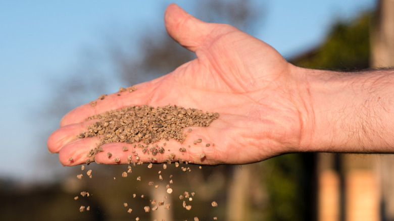 Using bone meal in the garden