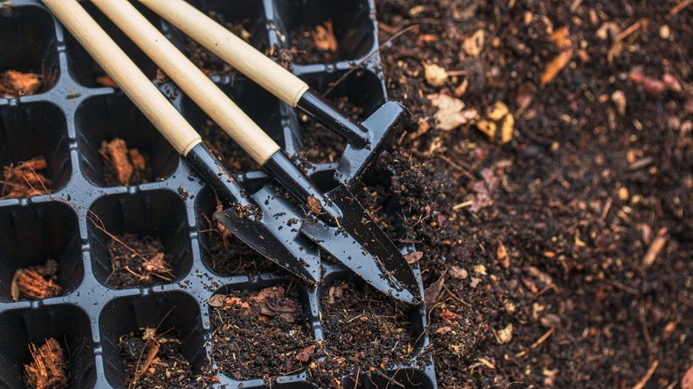 Close-up of seedling tray and tools on soil
