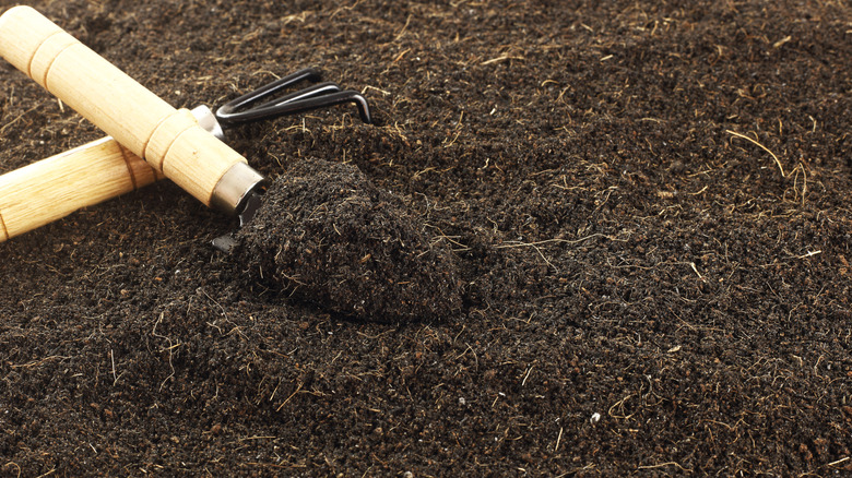 Gardening tools in loamy soil