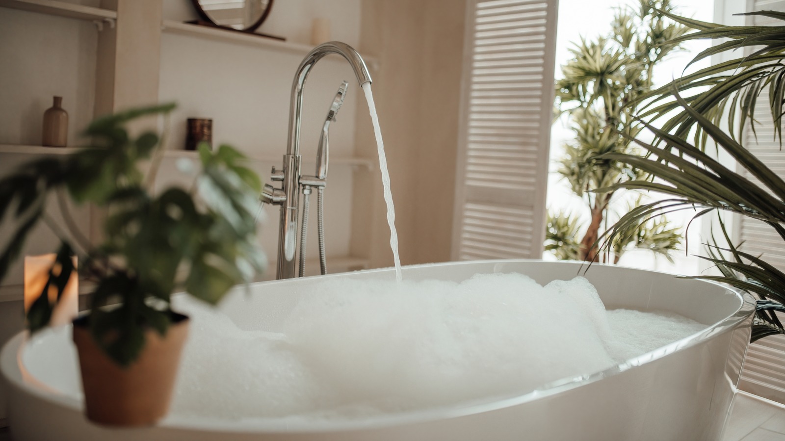 Grow This Easy-To-Care-For Plant In Your Bathroom And Watch It Thrive