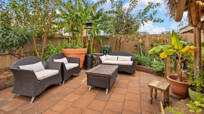 patio with tropical plants 