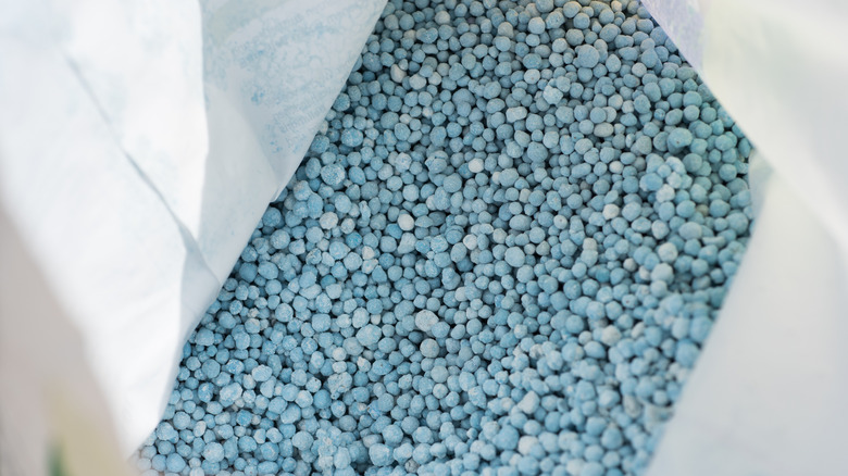 Blue fertilizer beads in a white bag