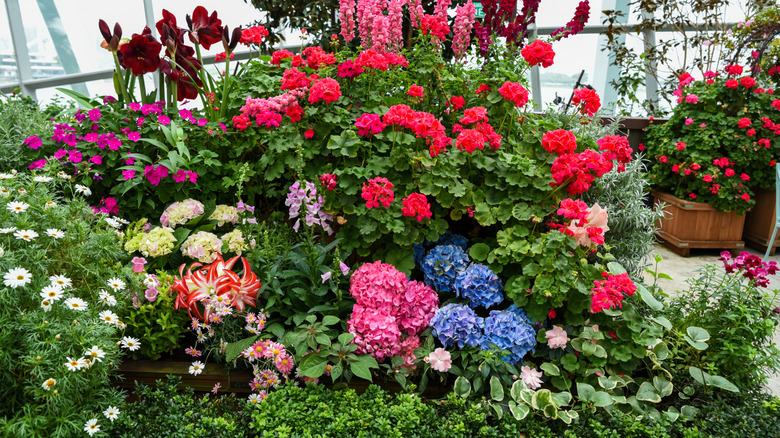 A colorful garden display full of pink, white, blue, and red blooms with lush, green foliage.