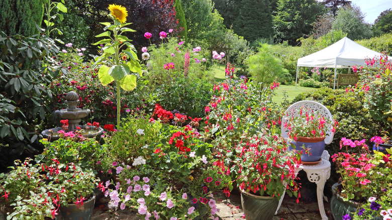 Flower garden with a variety of colorful blooms