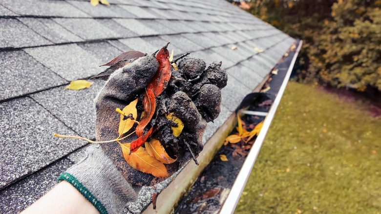 cleaning gutter leaf