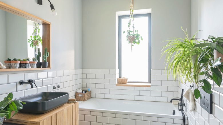 bathroom sink and tub with walls half-covered in white tile with plants and succulents