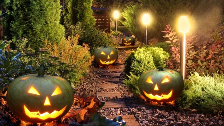 Pumpkin pathway solar lights