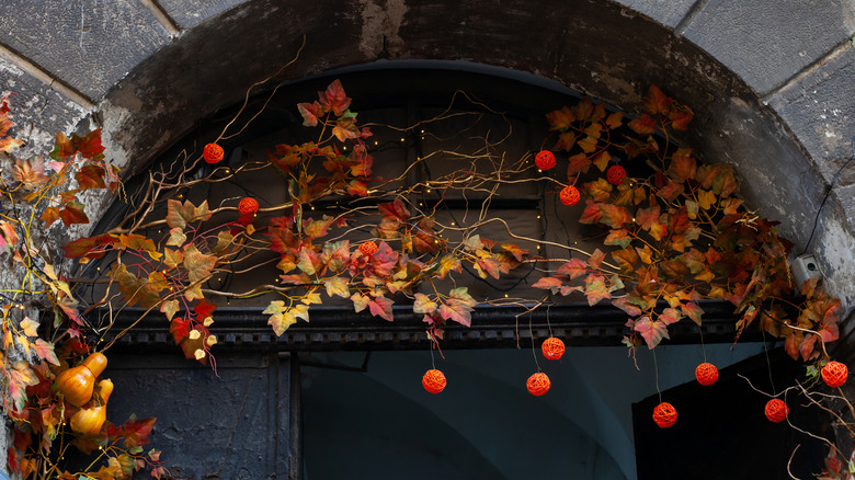 berries, leaves, balls