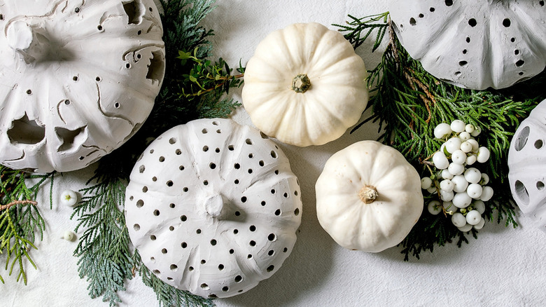 white pumpkins and fir