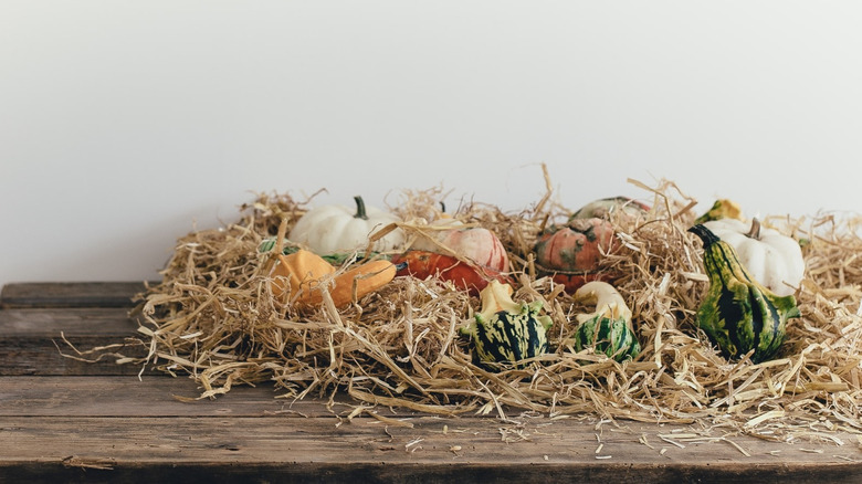 fall hay table decor
