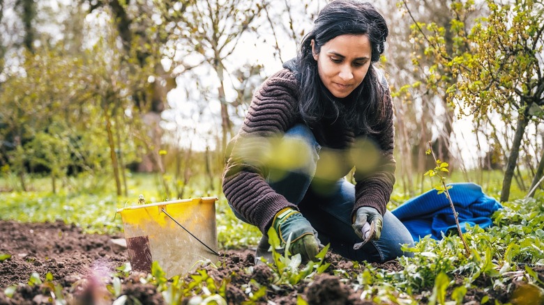 Person with gardening gloves holds a spay as they kneel in their garden tending to the soil and weeds