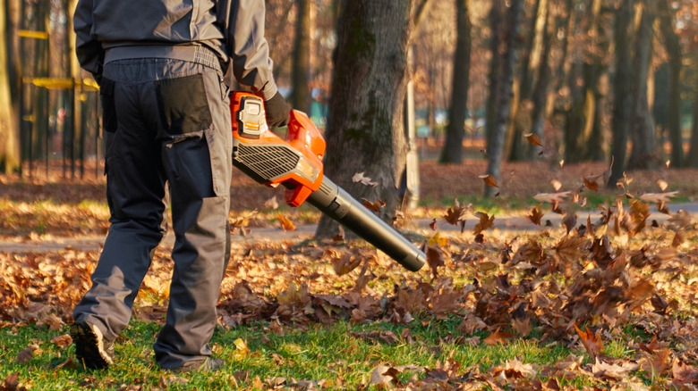 Person walking with a handheld leaf blower