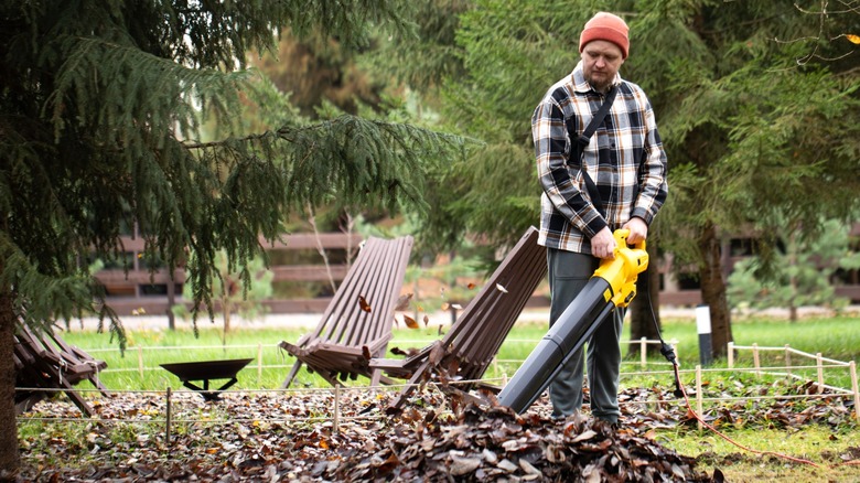 Person blowing large leaf pile from a yard with corded electric leaf blower