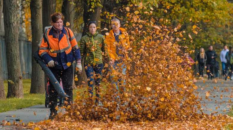 Person blowing leaves with a backpack leaf blower