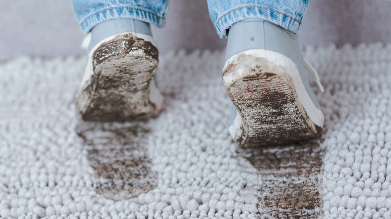 stepping on carpet with muddy shoes