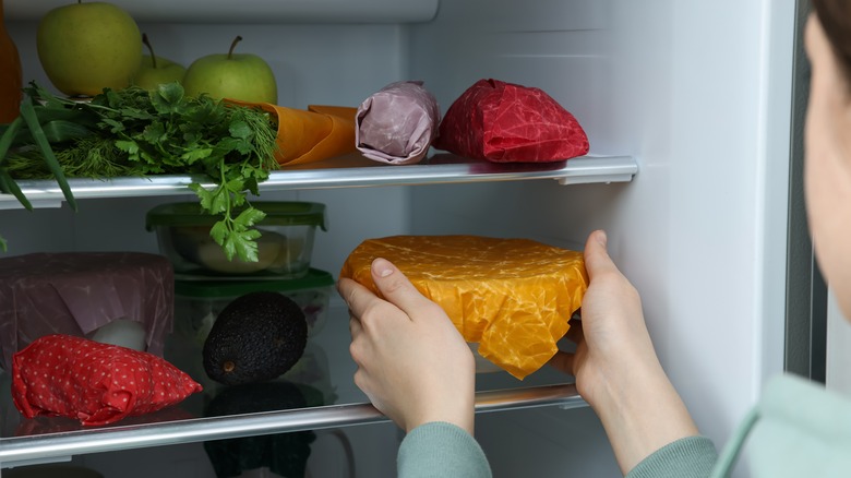 person putting bowl in fridge