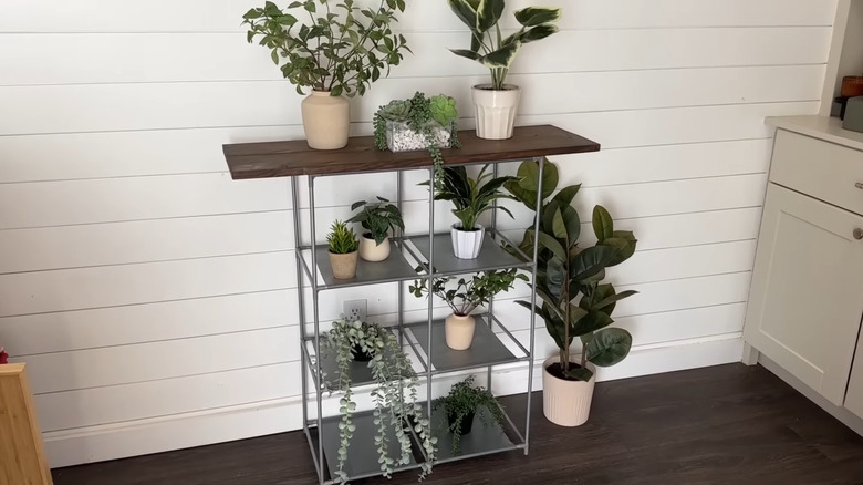 A 6-cube storage rack turned into a side table with plants