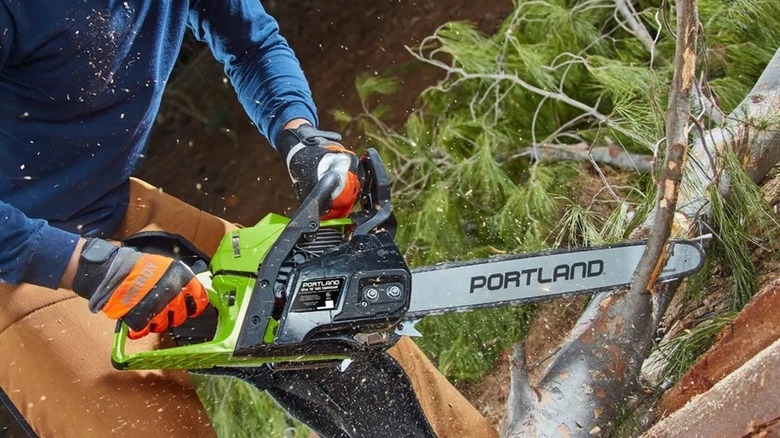 Person cuts a small branch off a tree with a Portland gas chainsaw