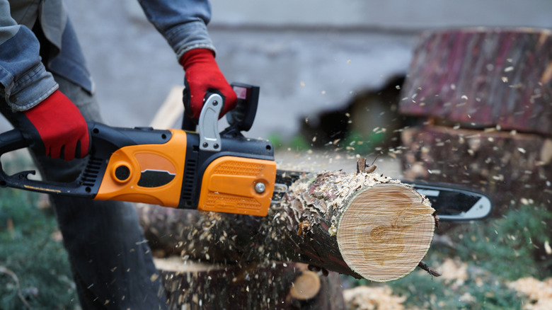 A man cutting through a branch with an electric chainsaw