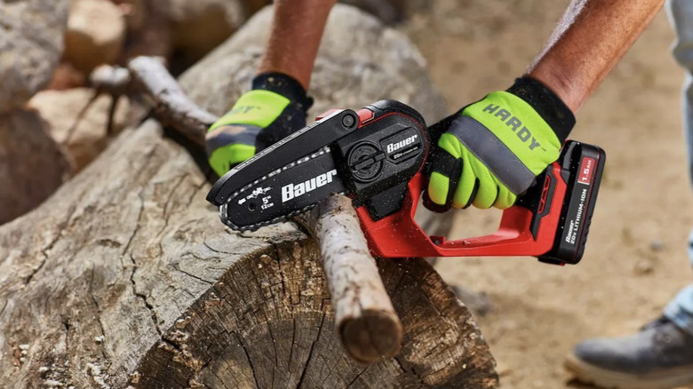 A person using a small pruning saw to cut a branch into smaller parts