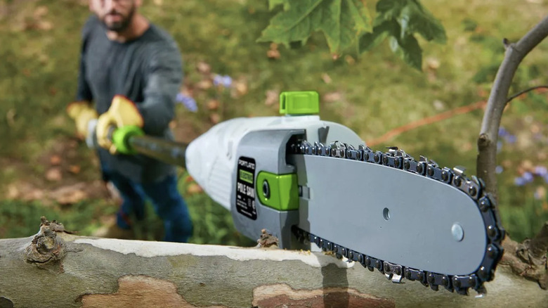 A person using a pole saw to trim a tree branch