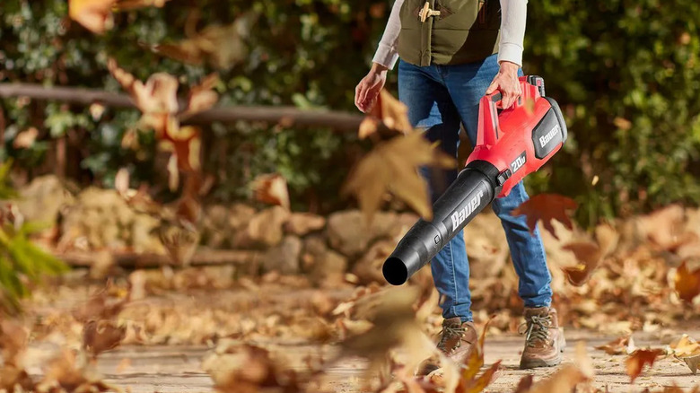A person using a Bauer leaf blower in their yard