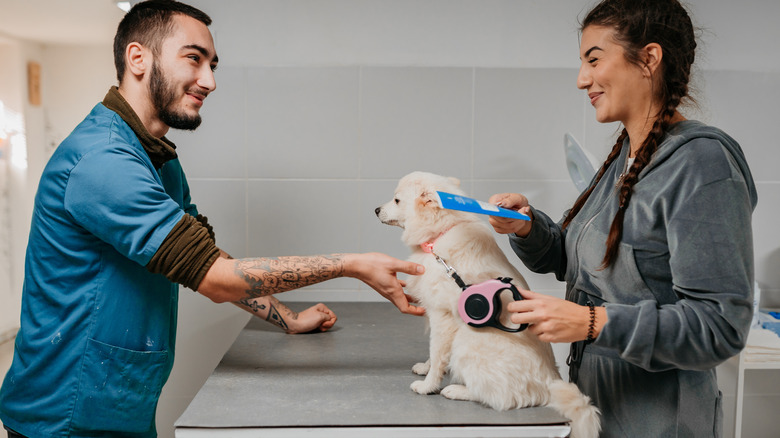 A woman takes her pet dog to the vet