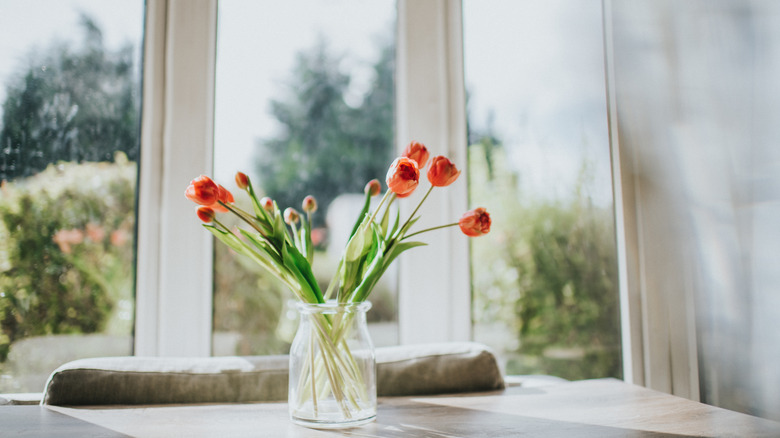 Vase of cut flowers near a window