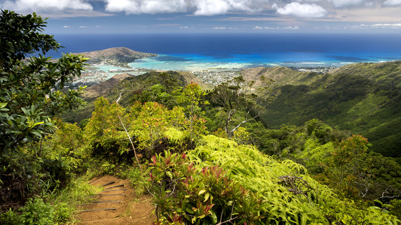 Kuliouou Ridge, Oahu, Hawaii, looking towards the ocean