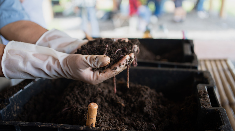 close up of hands holding dirt over a compost pile