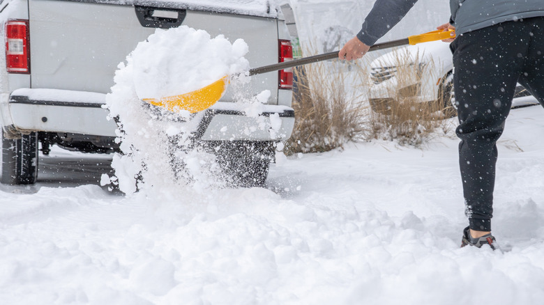 Person holding a shovel full of snow in front of a white truck