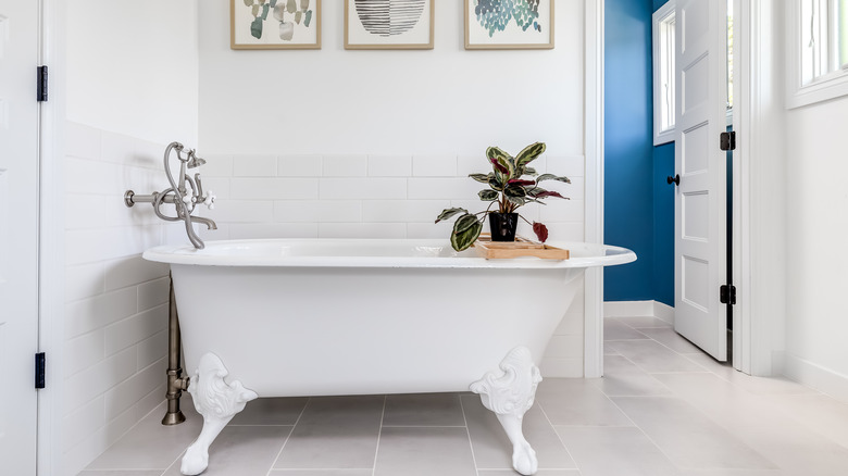 Styled clawfoot tub
