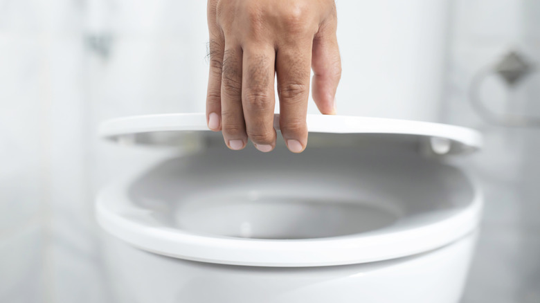 Closeup of a person's hand lifting a toilet lid