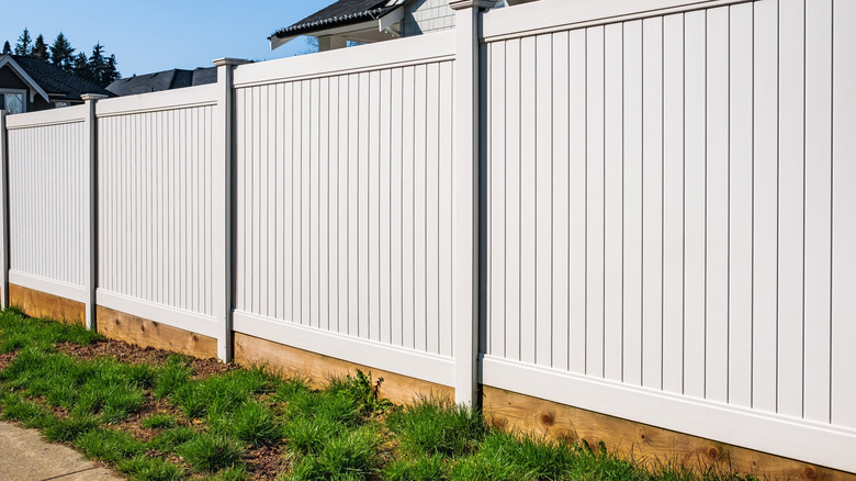 A tall white slatted vinyl fence over wood trim and grass on a sunny day.