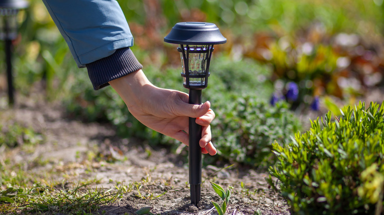 Person's hand putting a solar light into the ground.