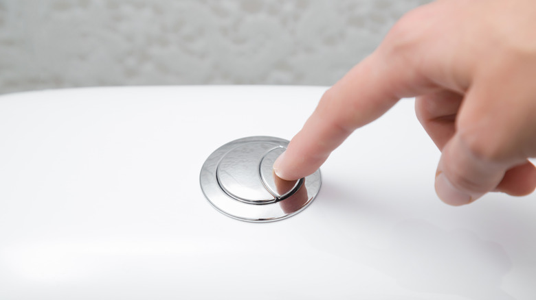 A dual flush button on a toilet