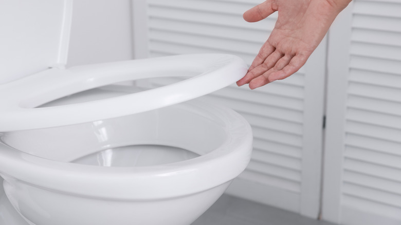 Person letting a toilet seat down