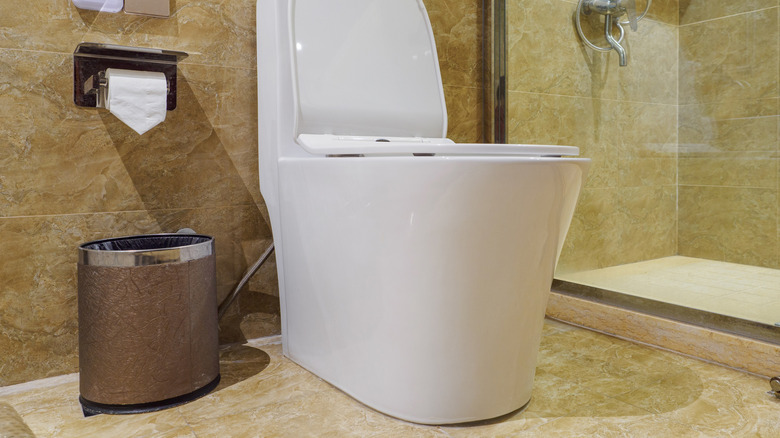 Easy-to-clean skirted toilet design