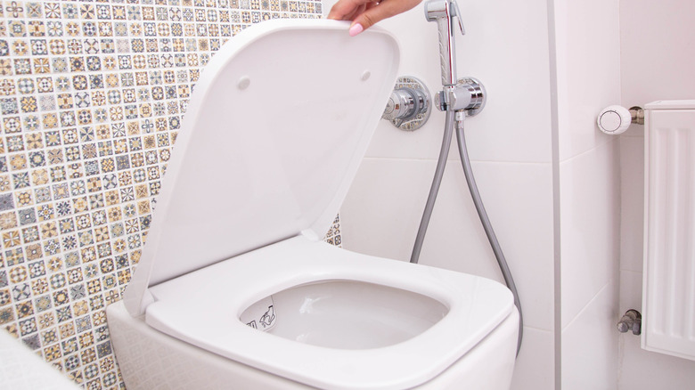 toilet in all white bathroom
