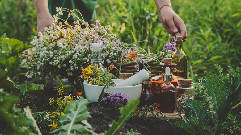 Person with box of herbs