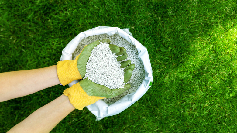 Hands holding fertilizer