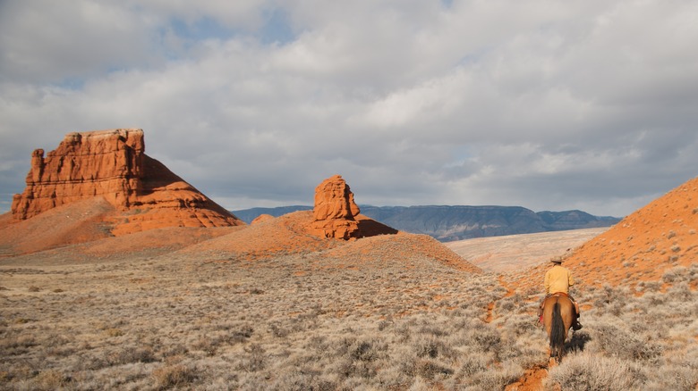 a Wyoming vista