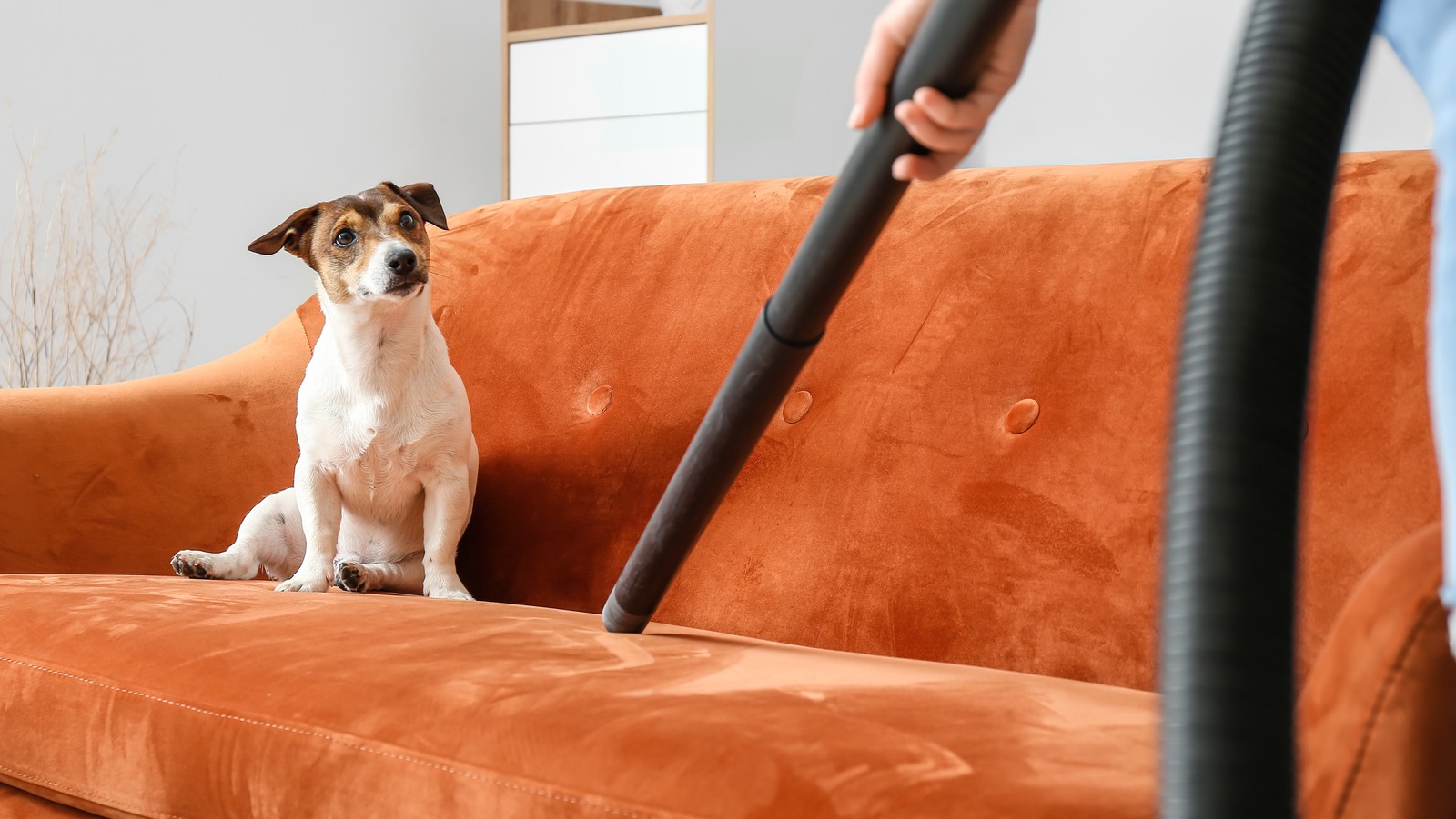 Here Are The Right Tasks For Your Vacuum's Attachments