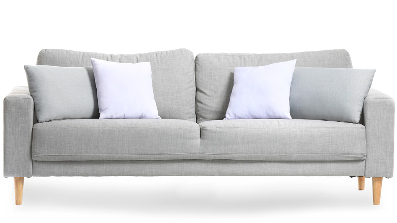 Modern sofa and cushions