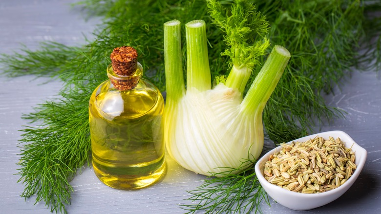 fennel bulb, herb, seeds, and oil