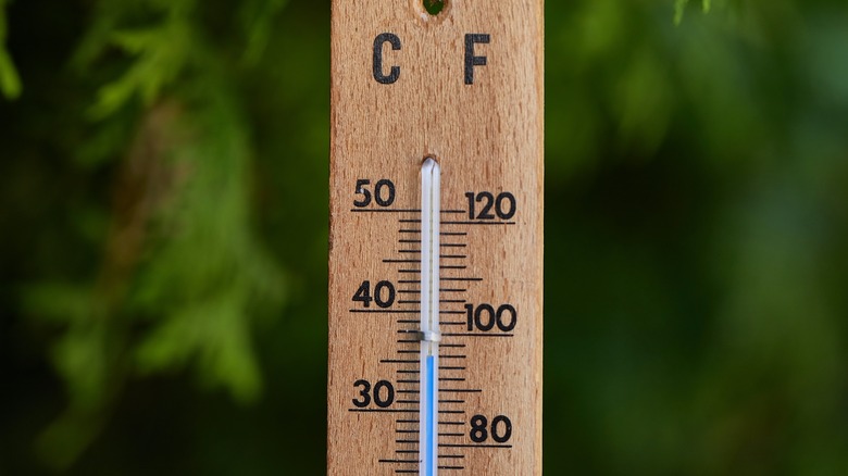 Outdoor garden thermometer